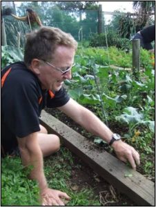 Te Kaakano Community Garden, Hamilton