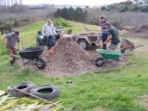 Workday at Poike Wetland Tauranga