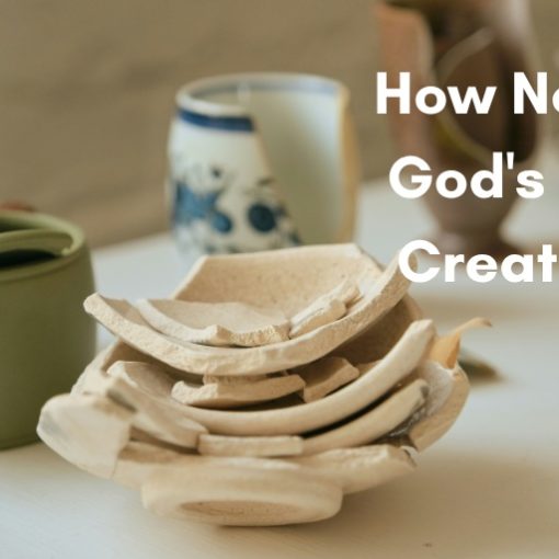 How New is God's New Creation