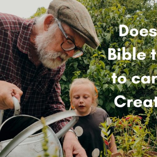 Does the Bible tell us to care for Creation?