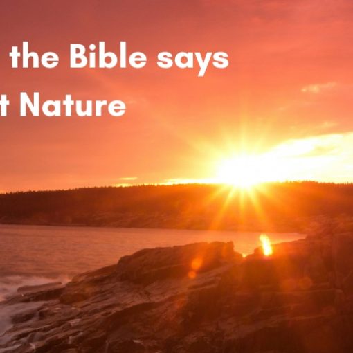 What the Bible says about Nature