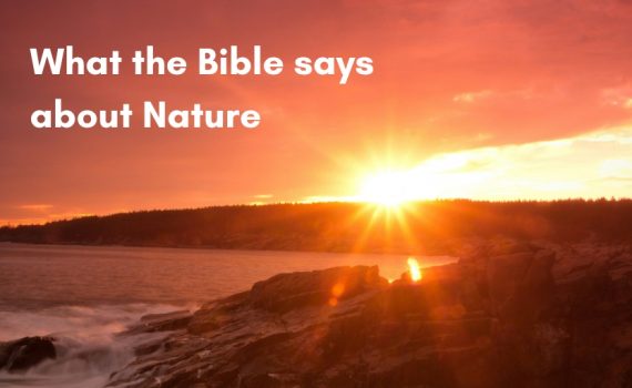 What the Bible says about Nature