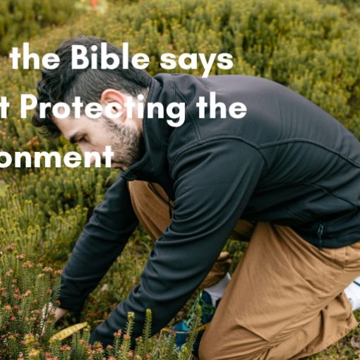 What the Bible says about Protecting the Environment