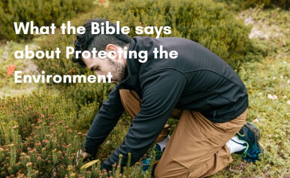 What the Bible says about Protecting the Environment