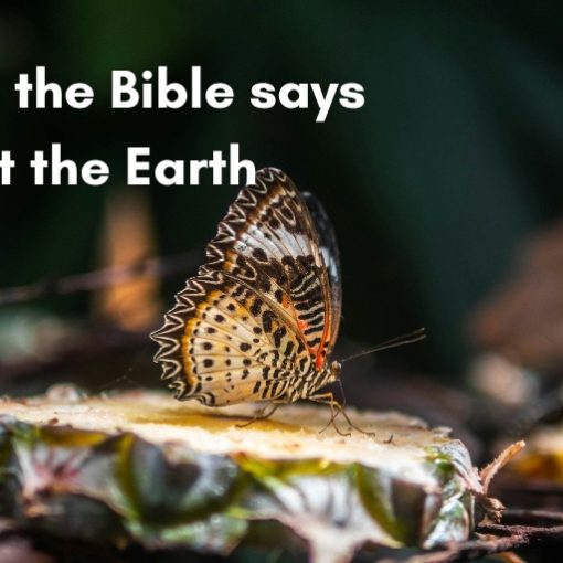 What the Bible says about the Earth