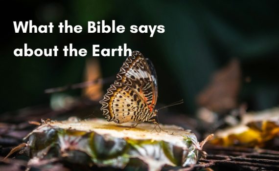 What the Bible says about the Earth