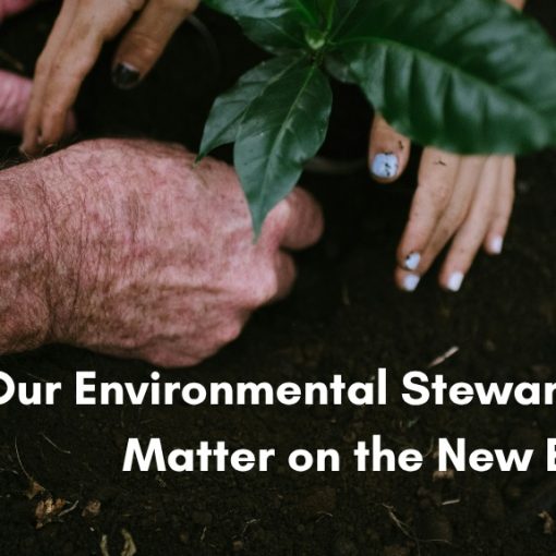 Close-up of an older person's weathered hands and a young child's hands working together to plant a small green sapling into dark, rich soil. The text overlay reads, "Will Our Environmental Stewardship Matter on the New Earth?".