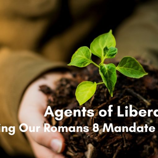 Hands gently cradling a handful of dark soil out of which a vibrant, small green plant is growing. White text overlaid on the soil reads, "Agents of Liberation".