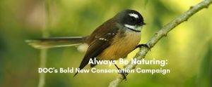 Always Be Naturing DOC’s Bold New Conservation Campaign