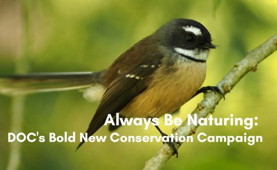 Always Be Naturing DOC’s Bold New Conservation Campaign