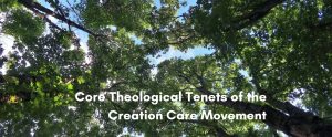 Sunlight filtering through a green forest canopy, with the title "Core Theological Tenets of the Creation Care Movement" overlaid