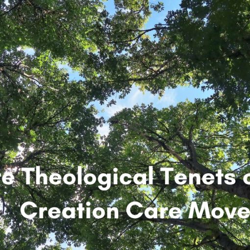 Sunlight filtering through a green forest canopy, with the title "Core Theological Tenets of the Creation Care Movement" overlaid