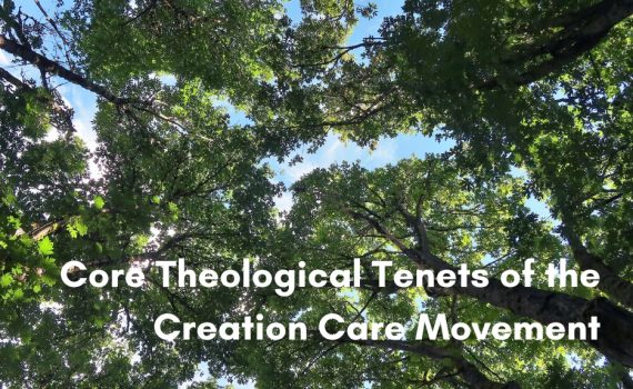 Sunlight filtering through a green forest canopy, with the title "Core Theological Tenets of the Creation Care Movement" overlaid