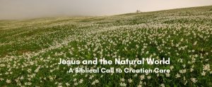 A misty green hillside covered in white daffodils, with bold white text reading 'Jesus and the Natural World: A Biblical Call to Creation Care