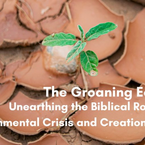 A small green seedling sprouting from dry, cracked earth, with the title "The Groaning Earth: Unearthing the Biblical Roots of Environmental Crisis and Creation Care" overlaid in white text.