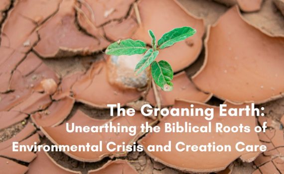 A small green seedling sprouting from dry, cracked earth, with the title "The Groaning Earth: Unearthing the Biblical Roots of Environmental Crisis and Creation Care" overlaid in white text.
