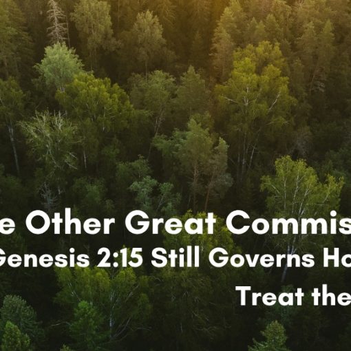 Aerial view of a dense green forest canopy with sunlight filtering through, overlaid with the title 'The Other Great Commission: Why Genesis 2:15 Still Governs How We Treat the Earth