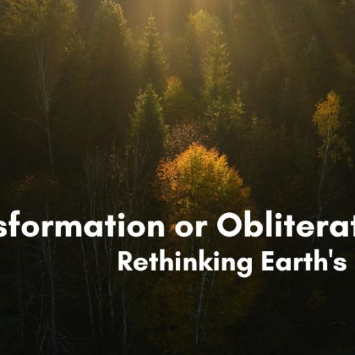Aerial view of a misty forest canopy with sunbeams breaking through the trees, highlighting a single golden autumn tree, with text reading "Transformation or Obliteration? Rethinking Earth's Future"