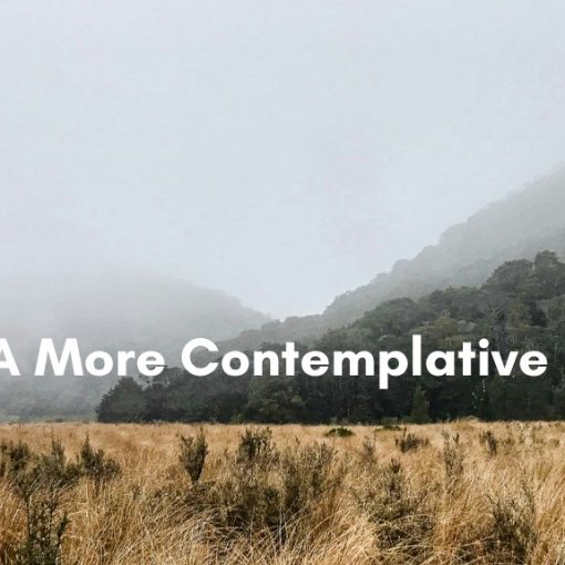 A misty valley trail winding through golden tussock grassland toward fog-shrouded, forested mountains, with the text "A More Contemplative Gaze" overlaid.