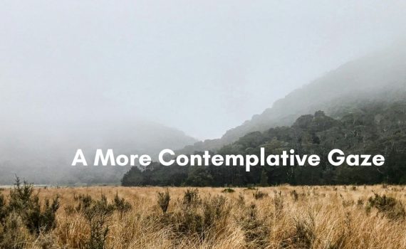 A misty valley trail winding through golden tussock grassland toward fog-shrouded, forested mountains, with the text "A More Contemplative Gaze" overlaid.