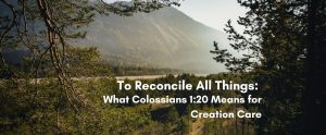 Misty mountain forest landscape with overlay text reading To Reconcile All Things: What Colossians 1:20 Means for Creation Care
