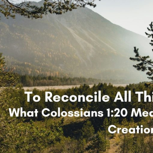 Misty mountain forest landscape with overlay text reading To Reconcile All Things: What Colossians 1:20 Means for Creation Care