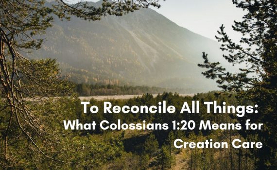 Misty mountain forest landscape with overlay text reading To Reconcile All Things: What Colossians 1:20 Means for Creation Care
