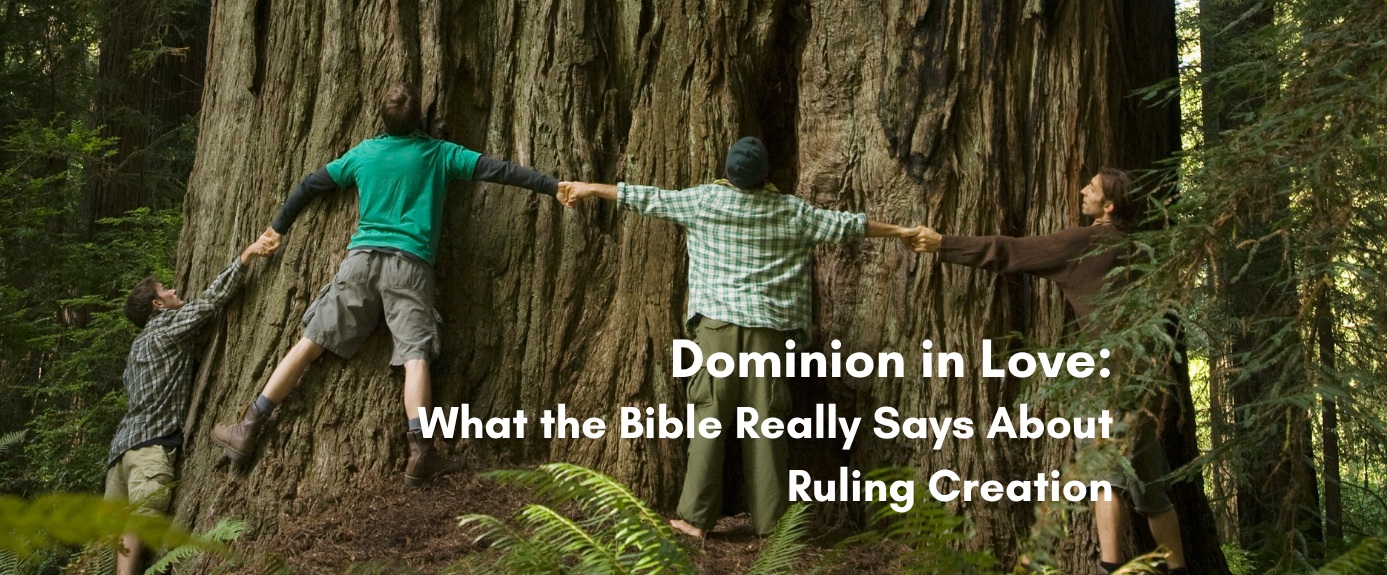 Four people join hands to encircle a massive redwood tree trunk in a forest, illustrating an article titled "Dominion in Love: What the Bible Really Says About Ruling Creation