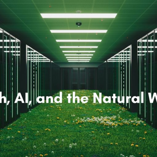 A grassy path covered in wildflowers runs through the center of a server room aisle, flanked by tall banks of computer servers under green-tinted lighting, with the text "Faith, AI, and the Natural World" overlaid.