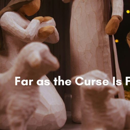 Carved wooden nativity figurines with sheep gathered around Mary and Joseph, illustrating an article titled "Far as the Curse Is Found"