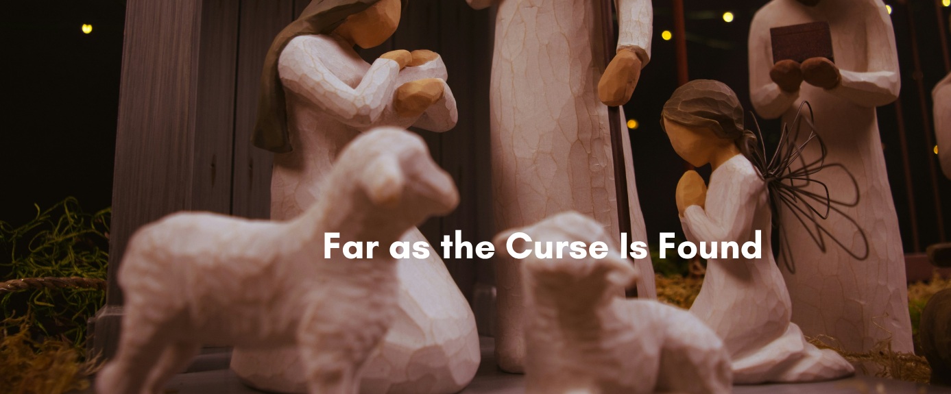 Carved wooden nativity figurines with sheep gathered around Mary and Joseph, illustrating an article titled "Far as the Curse Is Found"