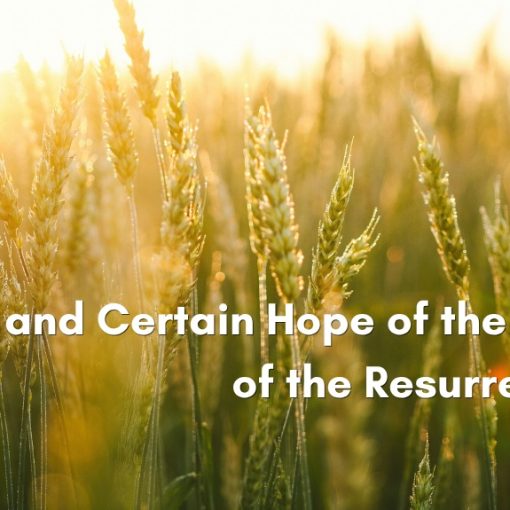 Golden wheat stalks glowing in warm sunlight with the words In Sure and Certain Hope of the Resurrection