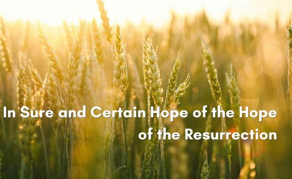 Golden wheat stalks glowing in warm sunlight with the words In Sure and Certain Hope of the Resurrection