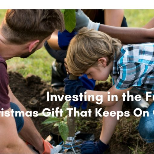 A young boy in a plaid shirt plants a small tree seedling with help from adults kneeling around him, with the heading Investing in the Future: The Christmas Gift That Keeps On Giving